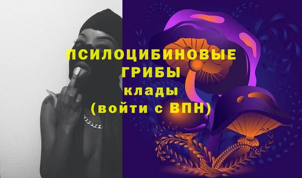 2c-b Алзамай