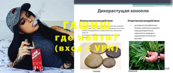 дмт Алексин