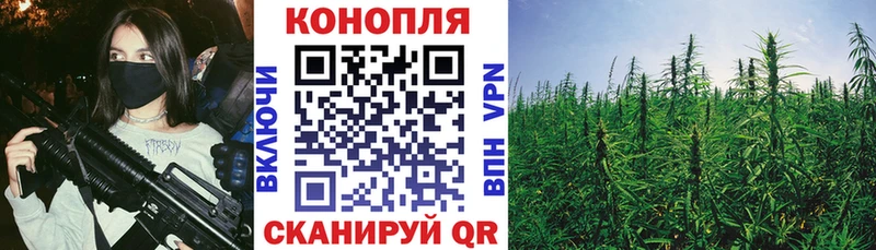 купить   Камбарка  блэк спрут зеркало  МАРИХУАНА ГИДРОПОН 